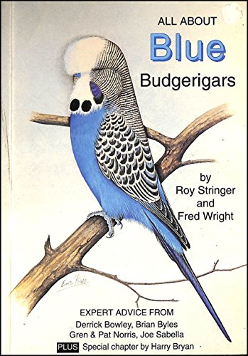 Stock image for Grey and Grey Green Budgerigars (All About Series) for sale by WorldofBooks