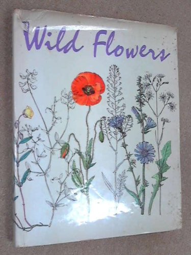 Beispielbild fr Decorating with Wild Flowers zum Verkauf von WorldofBooks