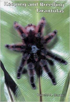 9780951921913: Keeping and Breeding Tarantulas