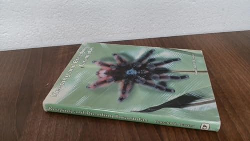 9780951921920: Keeping and Breeding Tarantulas