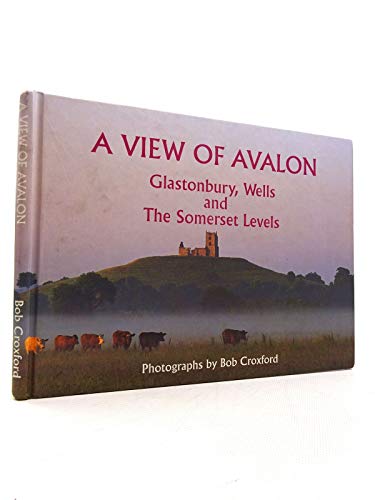 Imagen de archivo de A View of Avalon: Glastonbory, Wells and the Somerset Levels a la venta por WorldofBooks