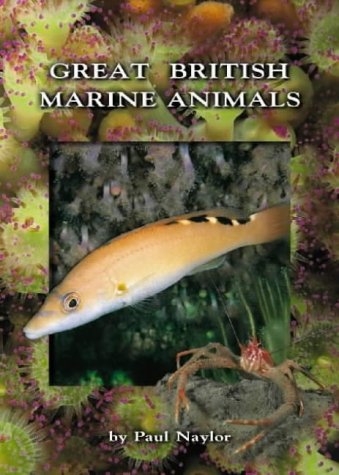 Beispielbild fr Great British Marine Animals zum Verkauf von WorldofBooks