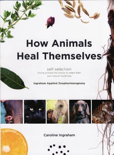 Stock image for How Animals Heal Themselves: Ingraham Applied Zoopharmacognosy for sale by Salish Sea Books