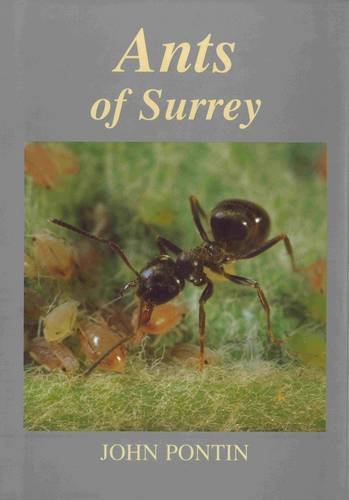 Imagen de archivo de Ants of Surrey a la venta por Acanthophyllum Books