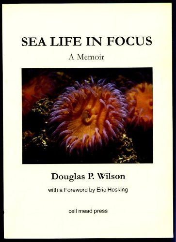 9780952667810: Sea Life in Focus: A Memoir