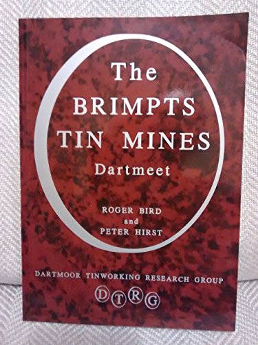 Beispielbild fr Brimpts Tin Mines - Dartmeet (Reports / Dartmoor Tinworking Research Group) zum Verkauf von WorldofBooks