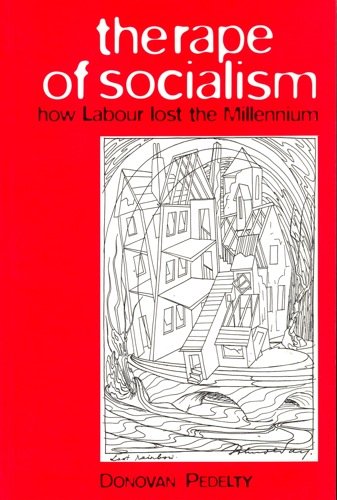 Beispielbild fr The Rape of Socialism: How Labour Lost the Millennium zum Verkauf von HALCYON BOOKS