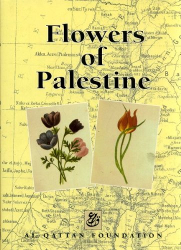 9780953117703: Flowers of Palestine