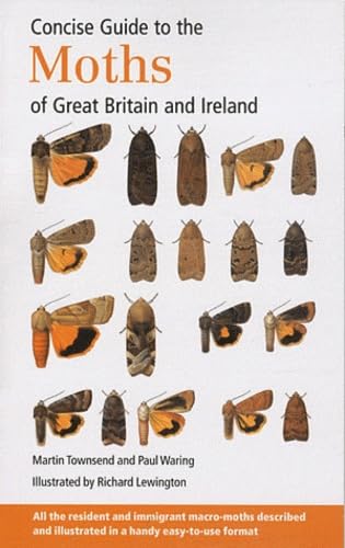 9780953139965: Concise Guide to the Moths of Great Britain and Ireland