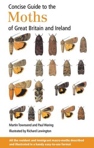 9780953139965: Concise Guide to the Moths of Great Britain and Ireland