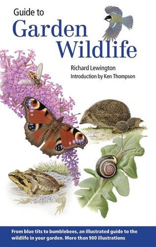 Stock image for Guide to Garden Wildlife for sale by WorldofBooks