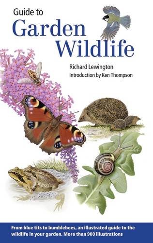 9780953139972: Guide to Garden Wildlife