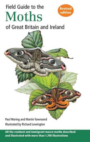 Stock image for Field Guide to the Moths of Great Britain and Ireland for sale by WorldofBooks
