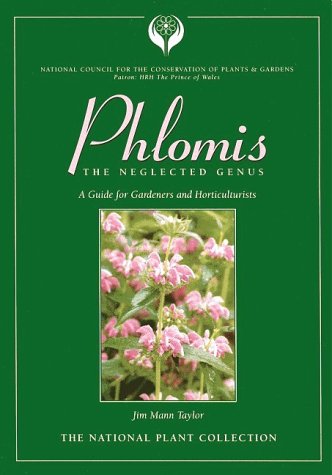 9780953241309: Phlomis: The Neglected Genus