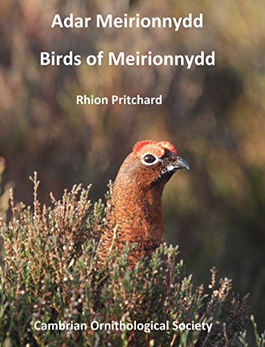 Imagen de archivo de Adar Meirionnydd/Birds of Meirionnydd a la venta por Hay-on-Wye Booksellers