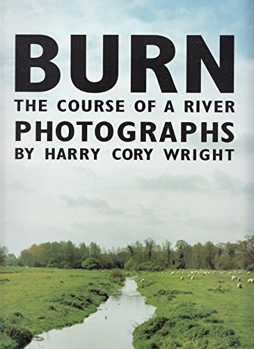 Stock image for Burn for sale by Caffrey Books