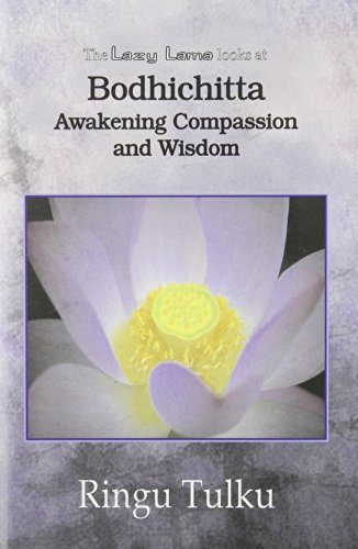 Beispielbild fr Lazy Lama Looks at Bodhichitta: Awakening Compassion and Wisdom zum Verkauf von WorldofBooks