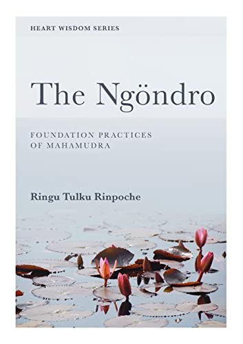 Stock image for The Ngndro: Foundation practices of Mahamudra (Heart Wisdom) for sale by The Mill Bookshop