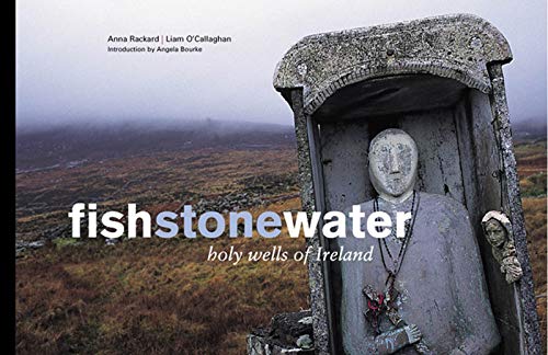 Imagen de archivo de Fish Stone Water: Holy Wells of Ireland a la venta por Revaluation Books
