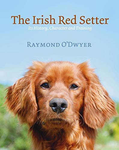 9780953535392: The Irish Red Setter: Its History, Character and Training