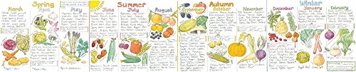 Beispielbild fr Seasonal Fruit and Vegetables Wallchart (Liz Cook Charts) zum Verkauf von Monster Bookshop