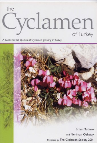 9780953752614: The Cyclamen of Turkey: A Guide to the Species of Cyclamen Growing in Turkey