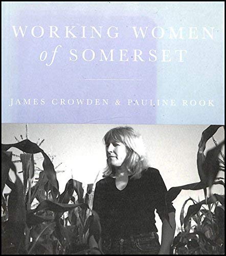 Stock image for Working Women of Somerset for sale by WorldofBooks