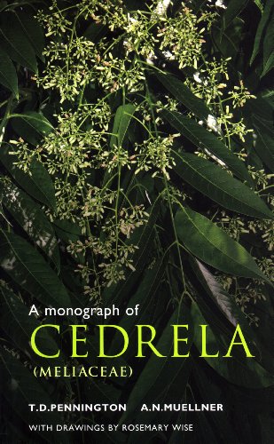 Stock image for A Monograph of Cedrela (Meliaceae) for sale by Anybook.com