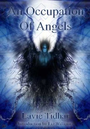 9780953859863: An Occupation of Angels