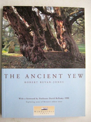 Stock image for The Ancient Yew for sale by ThriftBooks-Dallas