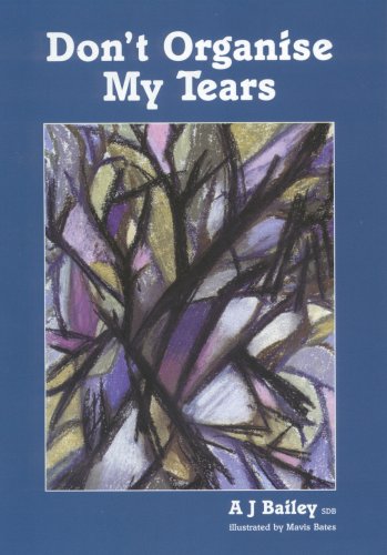 9780953899104: Don't Organise My Tears: Reflections on Bereavement