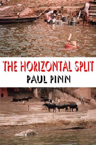 9780953930012: The Horizontal Split