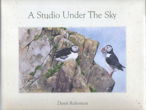 A Studio Under the Sky (9780953932405) by Derek Robertson