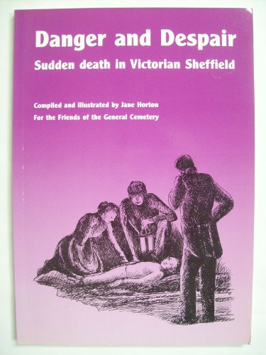 9780953999415: Danger and Despair: Sudden Death in Victorian Sheffield