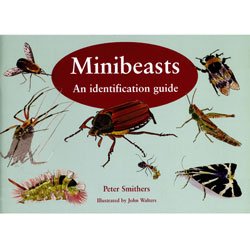 Beispielbild fr Minibeasts: An Identification Guide zum Verkauf von WorldofBooks