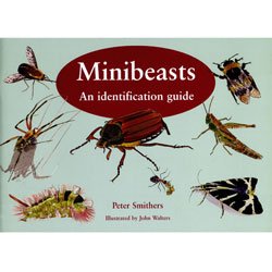 Stock image for Minibeasts: An Identification Guide for sale by WorldofBooks