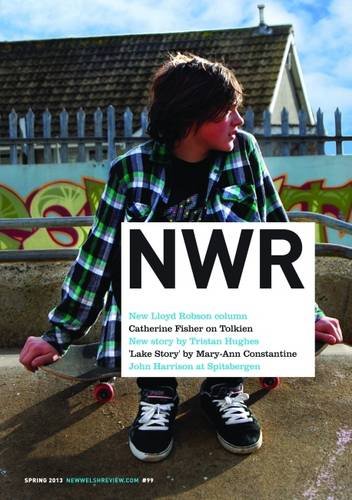 Beispielbild fr NWR 99: Shapes and Pieces (New Welsh Review) zum Verkauf von Goldstone Books