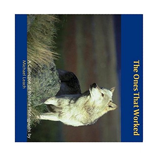 Stock image for The Ones That Worked: A Collection of Wildlife Photographs for sale by WorldofBooks