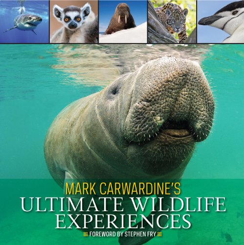 Imagen de archivo de Mark Carwardine's Ultimate Wildlife Experiences a la venta por WorldofBooks