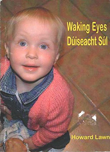 Stock image for Waking Eyes / Duiseacht Sul for sale by Kennys Bookstore