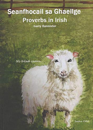 9780954103880: Proverbs in Gaelic =: Seanfhocail I Ngaeilge