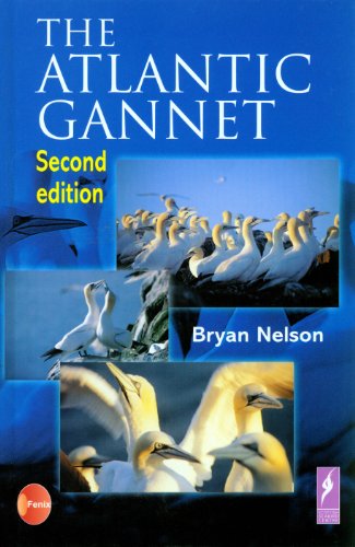 Beispielbild fr The Atlantic Gannet zum Verkauf von Better World Books