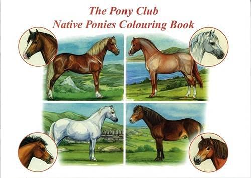Beispielbild fr The Pony Club Native Ponies Colouring Book zum Verkauf von WorldofBooks
