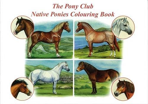 Stock image for The Pony Club Native Ponies Colouring Book for sale by WorldofBooks