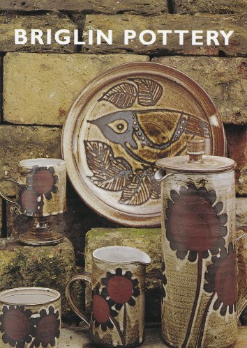 BRIGLIN POTTERY 1948-1990 The Story of a Studio Pottery in the West End of London