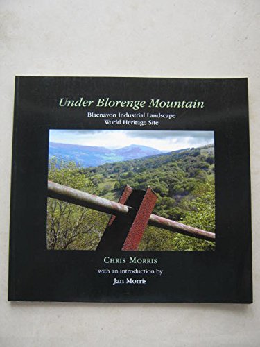 Stock image for Under Blorenge Mountain: Blaenavon Industrial Landscape, World Heritage Site for sale by WorldofBooks