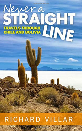 Stock image for Never a Straight Line: Travels through Chile and Bolivia for sale by Revaluation Books