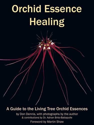 9780954230531: Orchid Essence Healing: A Guide to the Living Tree Orchid Essences