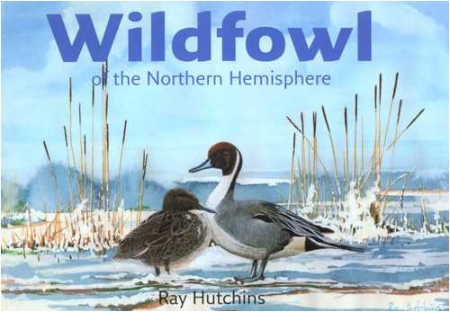 Stock image for Wildfowl of the Northern Hemisphere for sale by WorldofBooks