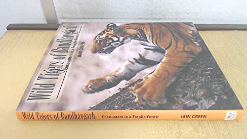 Stock image for Wild Tigers of Bandhavgarh: Encounters in a Fragile Forest for sale by AwesomeBooks